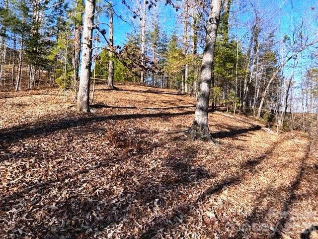 Lot at Mill Spring, photo 2 of 14
