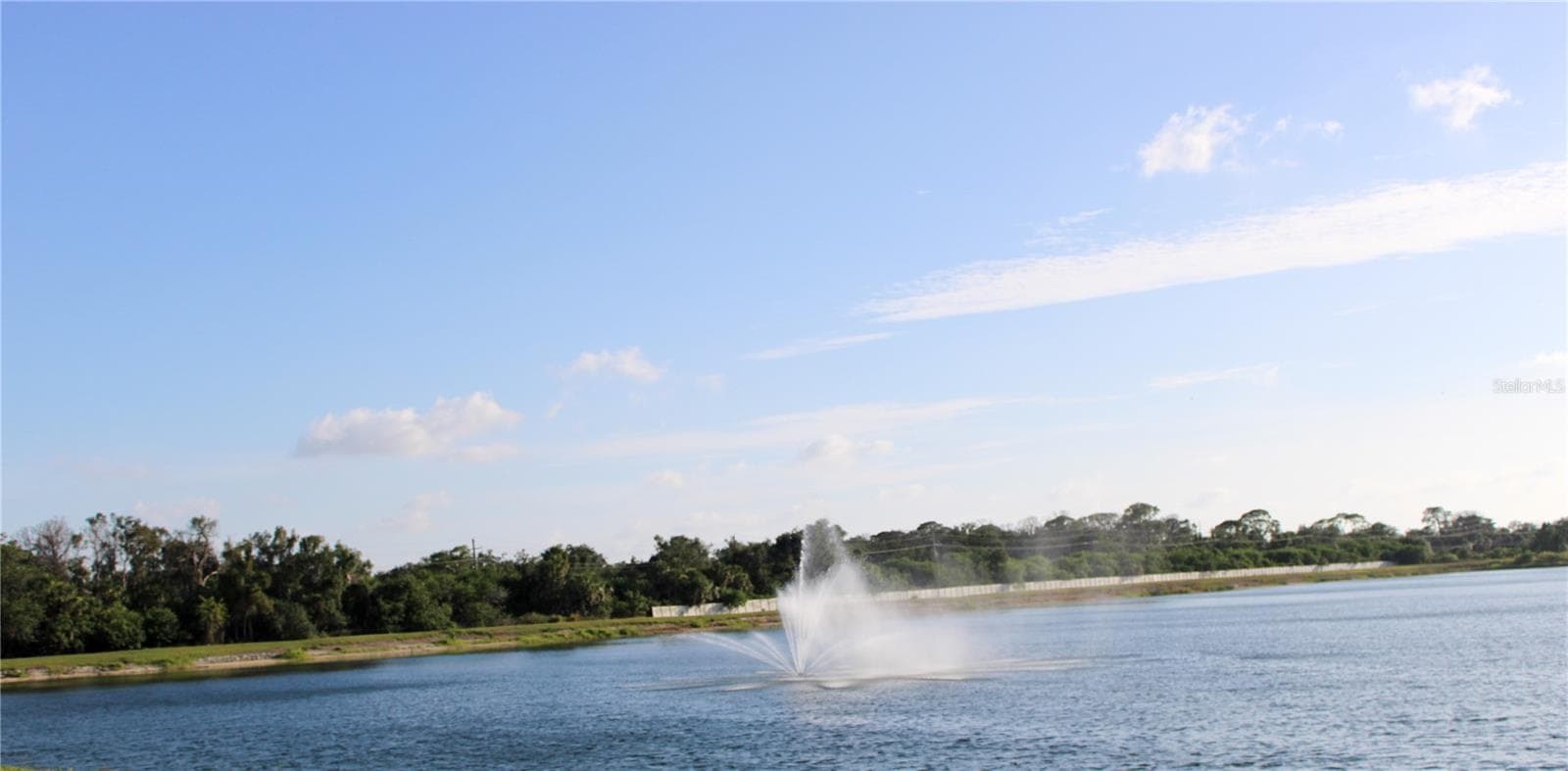 Lake view - 433 YORK DALE DR, RUSKIN