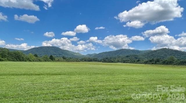 Farm at Brevard, photo 2 of 28