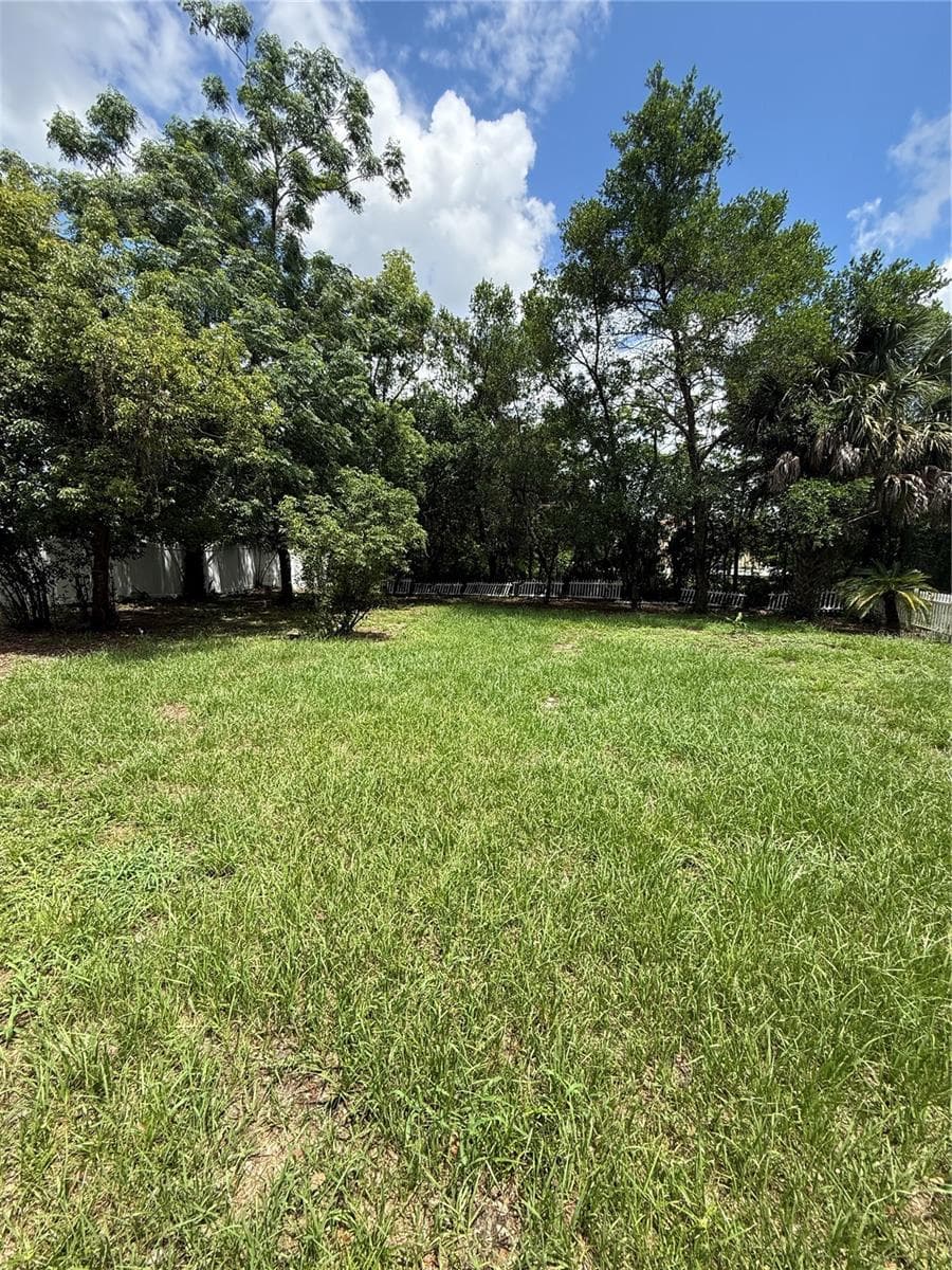 Backyard - 137 E MAINE AVE, LONGWOOD