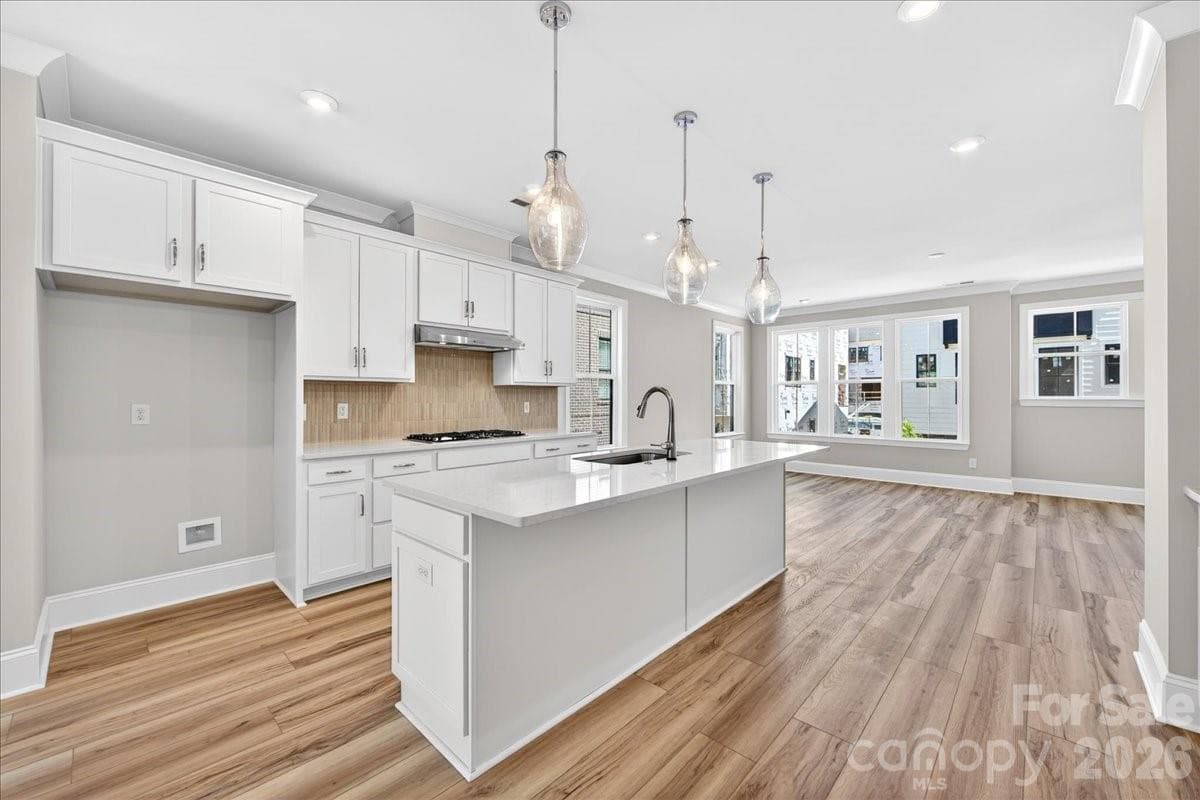 Light filled Gourmet kitchen - 12015 Elsa Lane, Charlotte