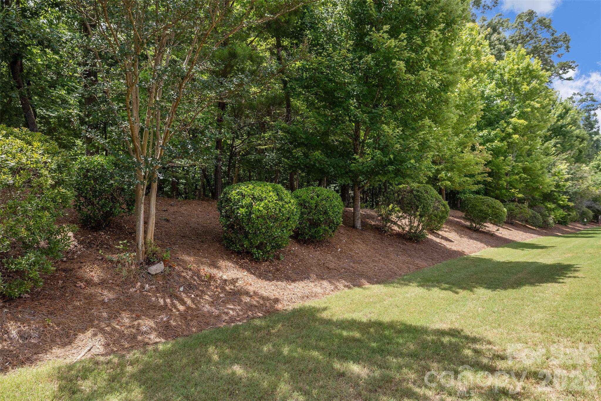 Wooded backyard - Indian Land