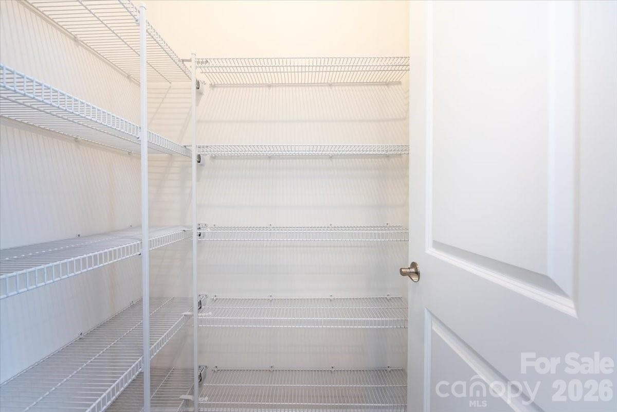 Walk-in pantry - Charlotte