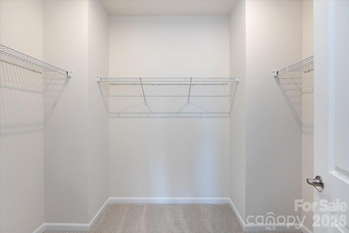 Primary walk-in closet - Charlotte