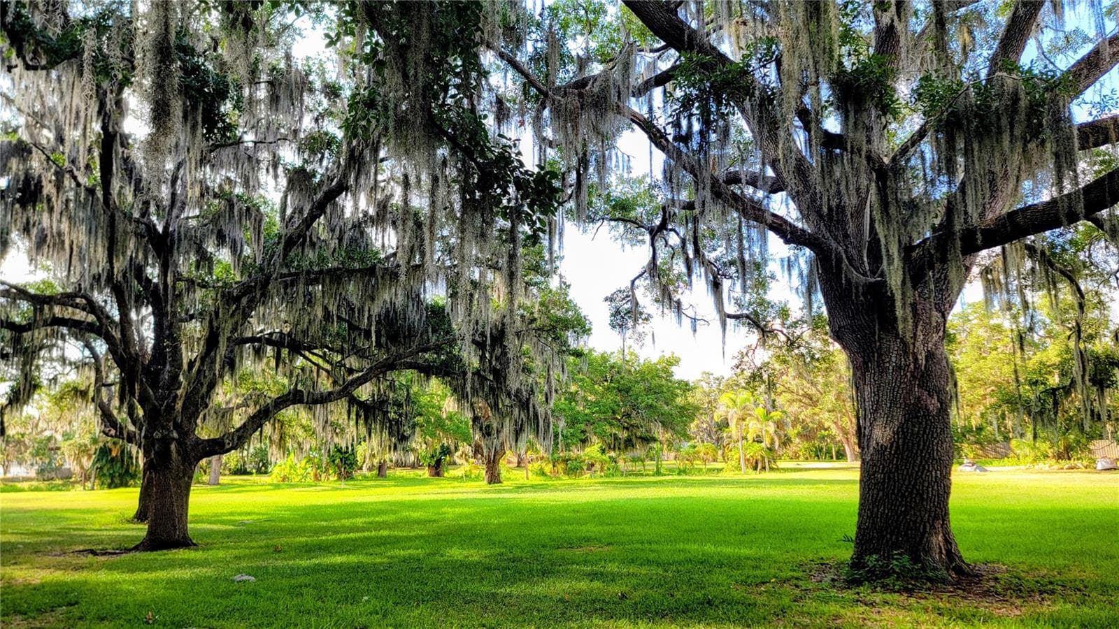 8 ACRES - 3348 ALAMO LN, SARASOTA