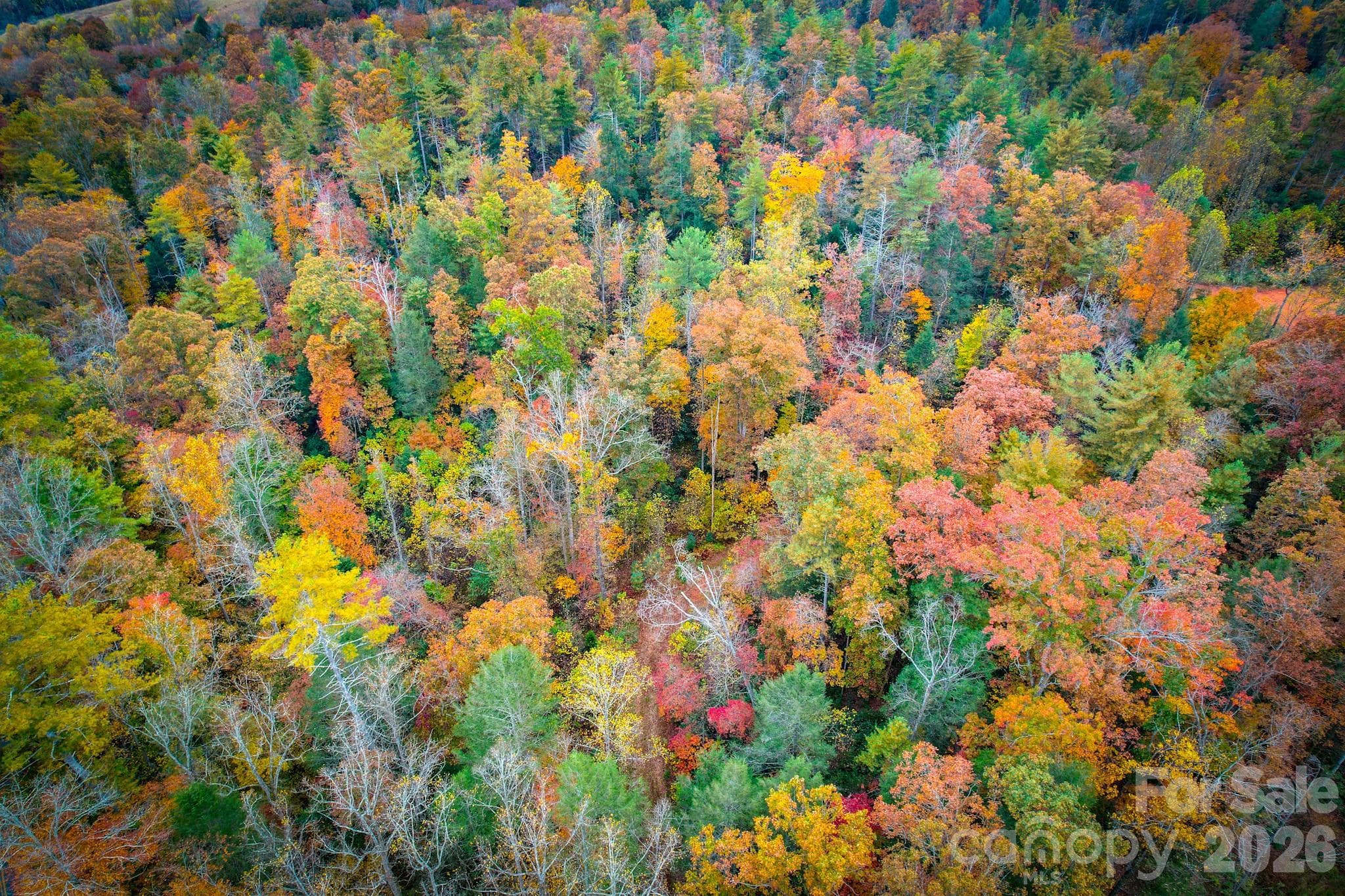 Lot at 00 Grandin Road, Lenoir, photo 5 of 15