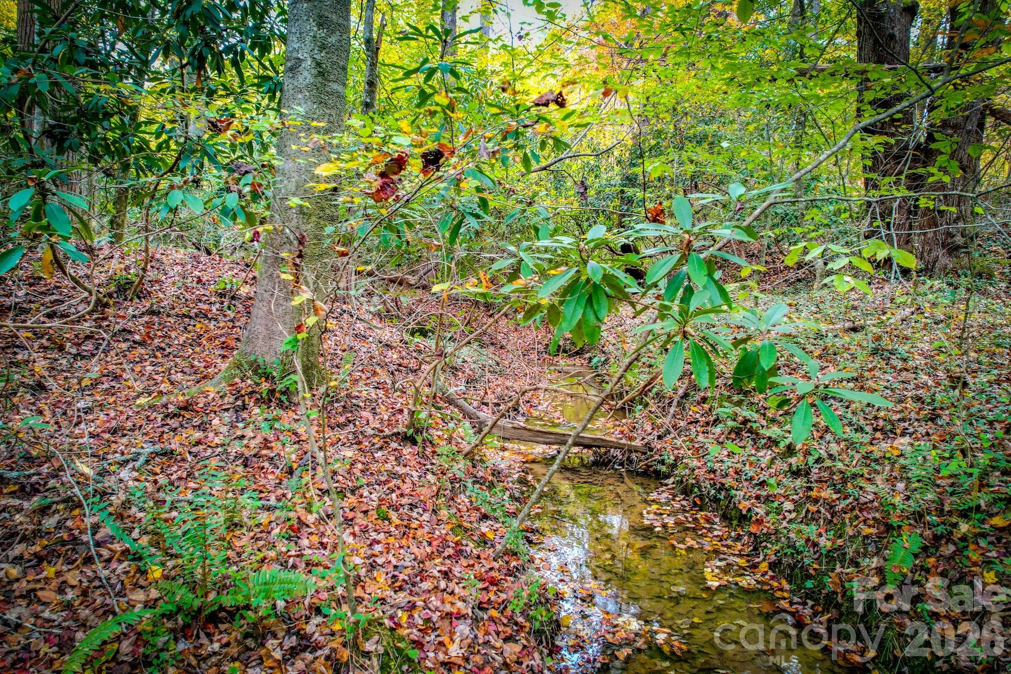 Lot at 00 Grandin Road, Lenoir, photo 7 of 15
