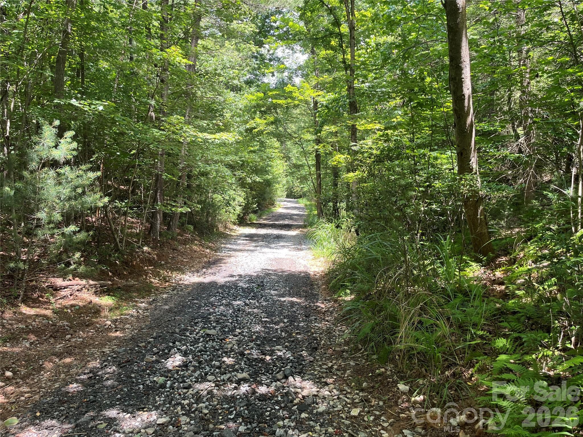 Lot at 00 Grandin Road, Lenoir, photo 11 of 15