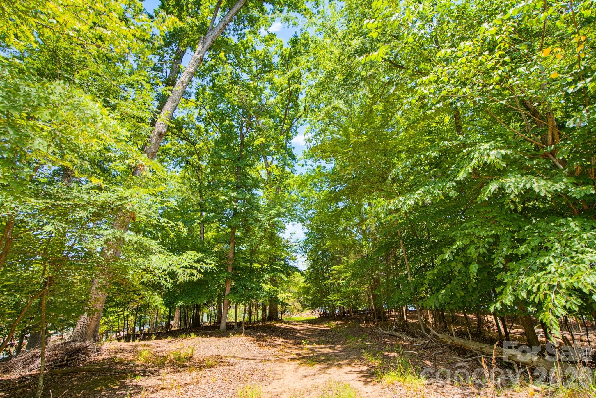 Lot at 629 Waterton Trail, Belmont, photo 19 of 38
