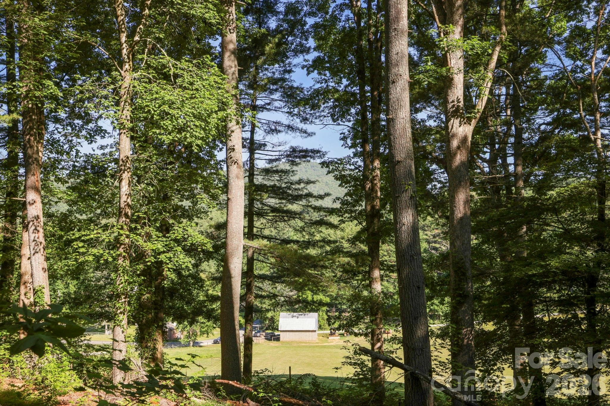 A picturesque view peeking through the timber, revealing the vibrant green valley below. The gentle transition from forest to field highlights the perfect balance of this property. - Pisgah Forest