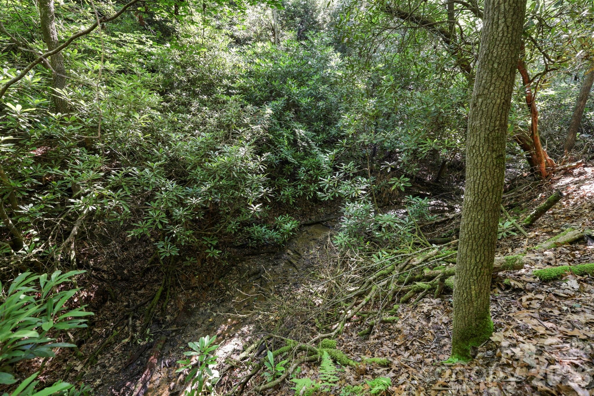 Acreage at Pisgah Forest, photo 10 of 15