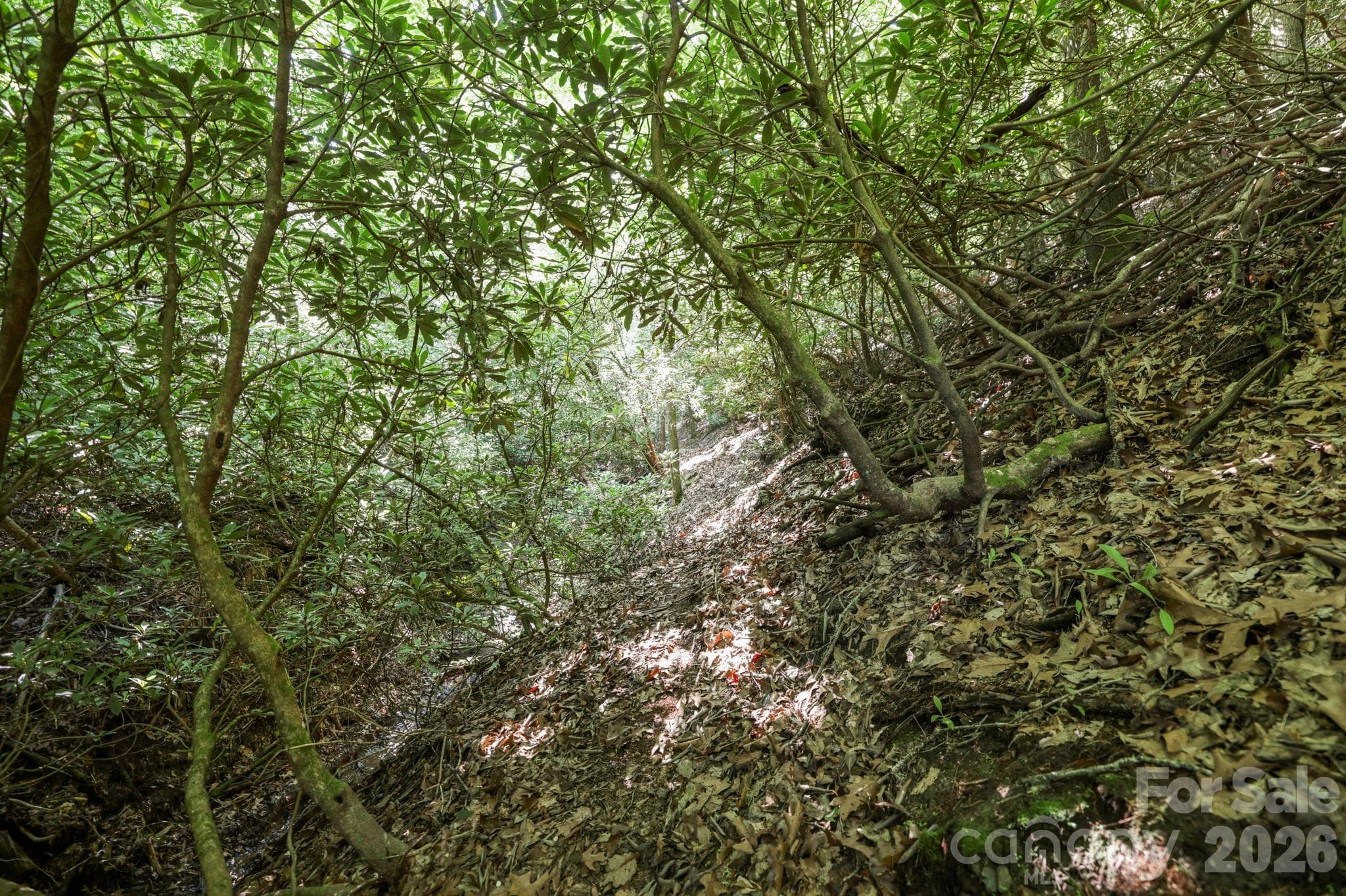 Acreage at Pisgah Forest, photo 11 of 15