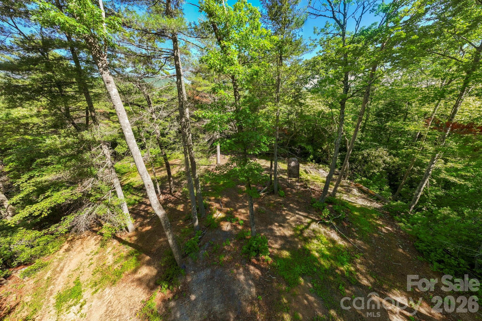 Tucked away in the timber sits a prime, elevated clearing. Currently featuring a hunting stand, this secluded knoll serves as an ideal, private build site completely surrounded by nature. - Pisgah Forest