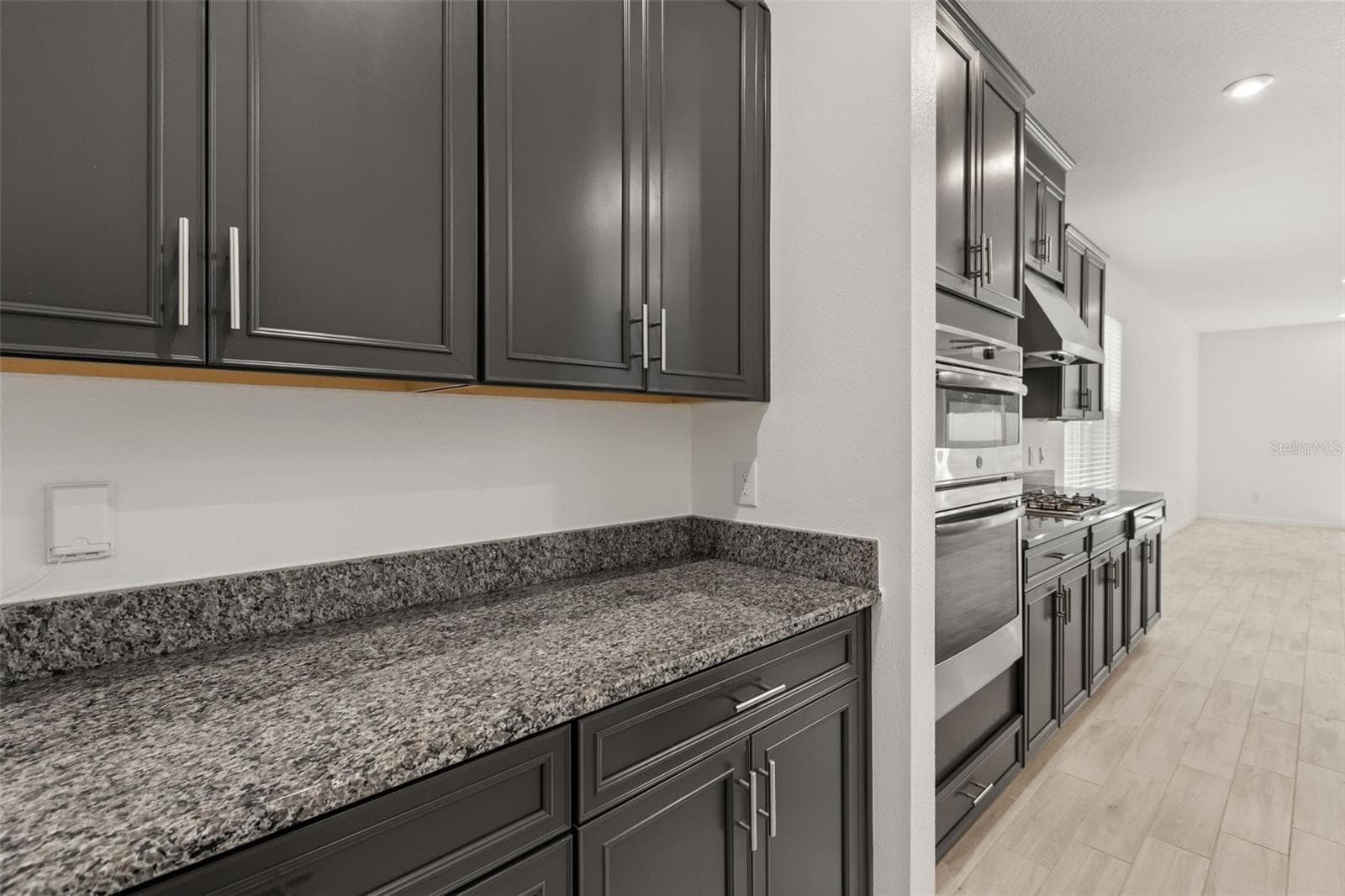Single Family Residence at 1151 LAKESIDE ESTATES DR, APOPKA, photo 9 of 44