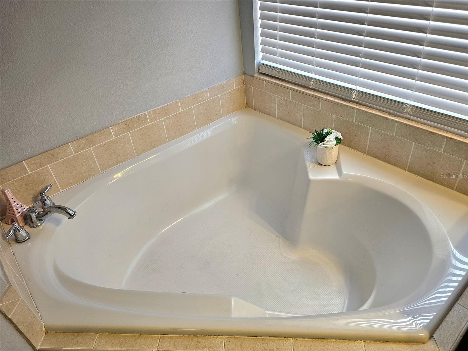 Master Bathroom Garden Tub - 34224 SHADEWOOD CIR, LEESBURG