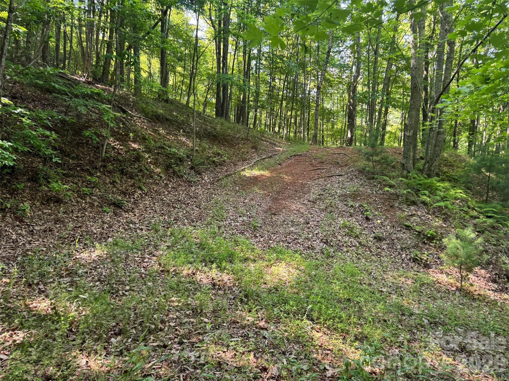 856 Stoney Stream Lane