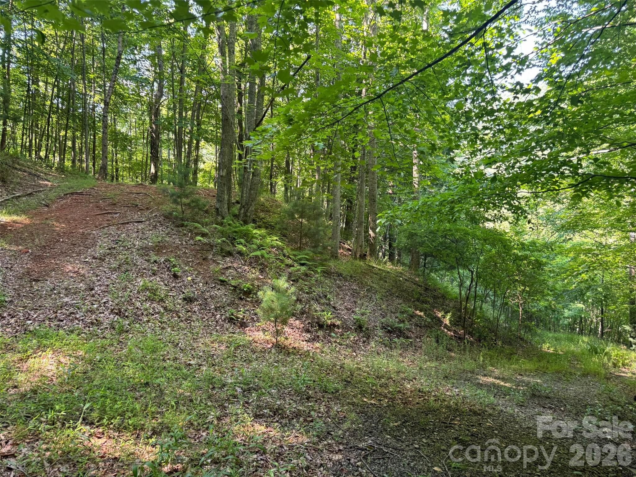 Lot at 856 Stoney Stream Lane, Arden, photo 3 of 10