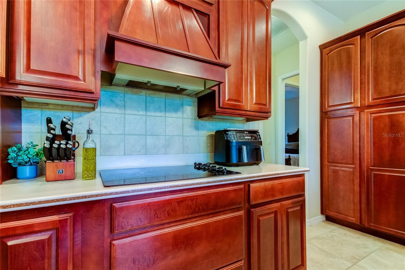 Single Family Residence at 1422 ARISTIDES CT, ODESSA, photo 25 of 84