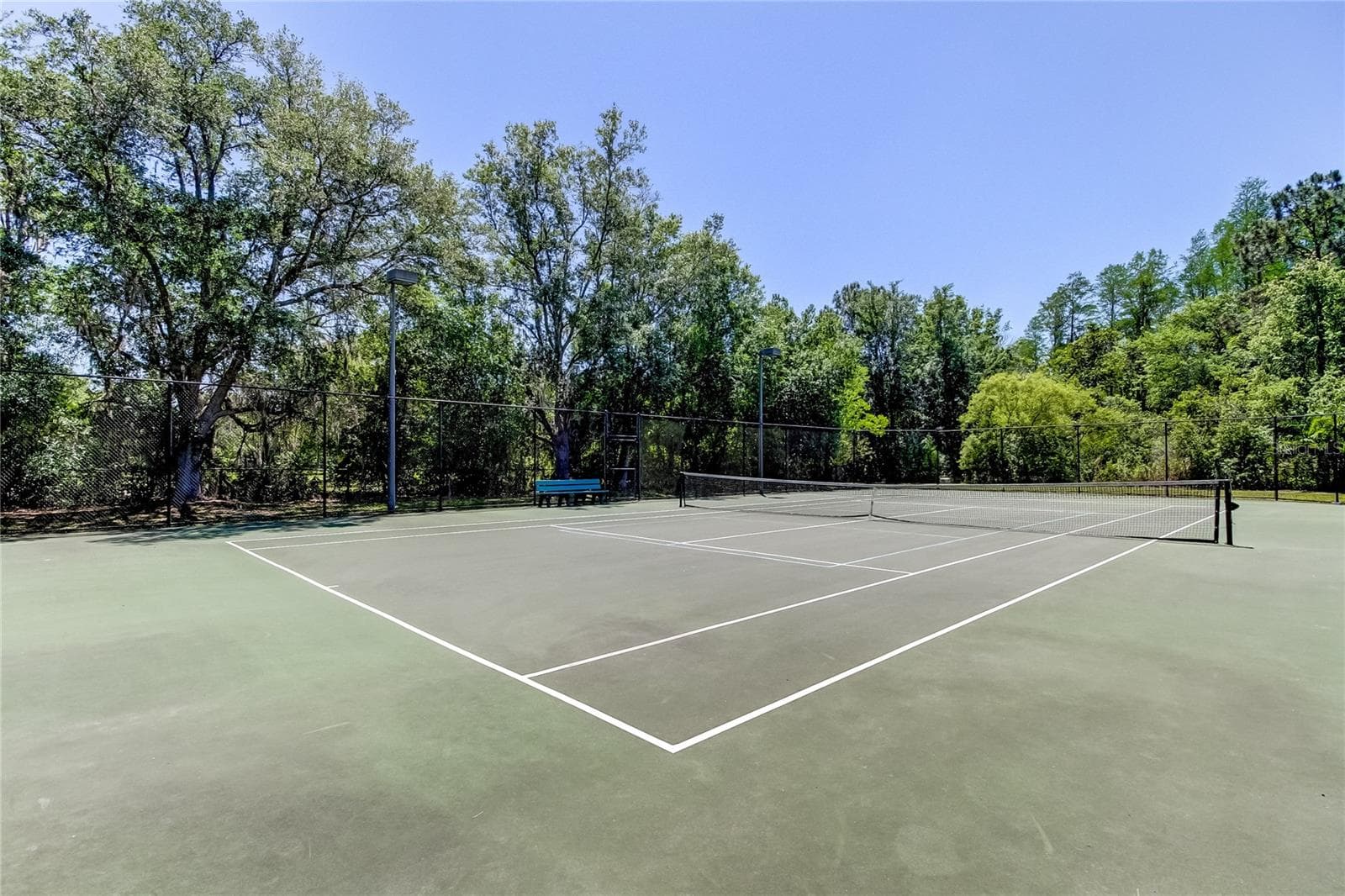 Single Family Residence at 1422 ARISTIDES CT, ODESSA, photo 83 of 84