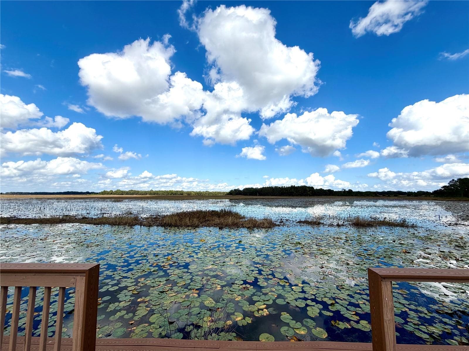 Land at BONSMARA DR, GROVELAND, photo 13 of 18