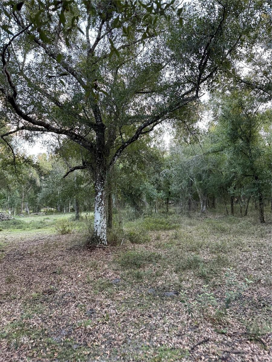 Land at SE BROWN RD, ARCADIA, photo 12 of 15