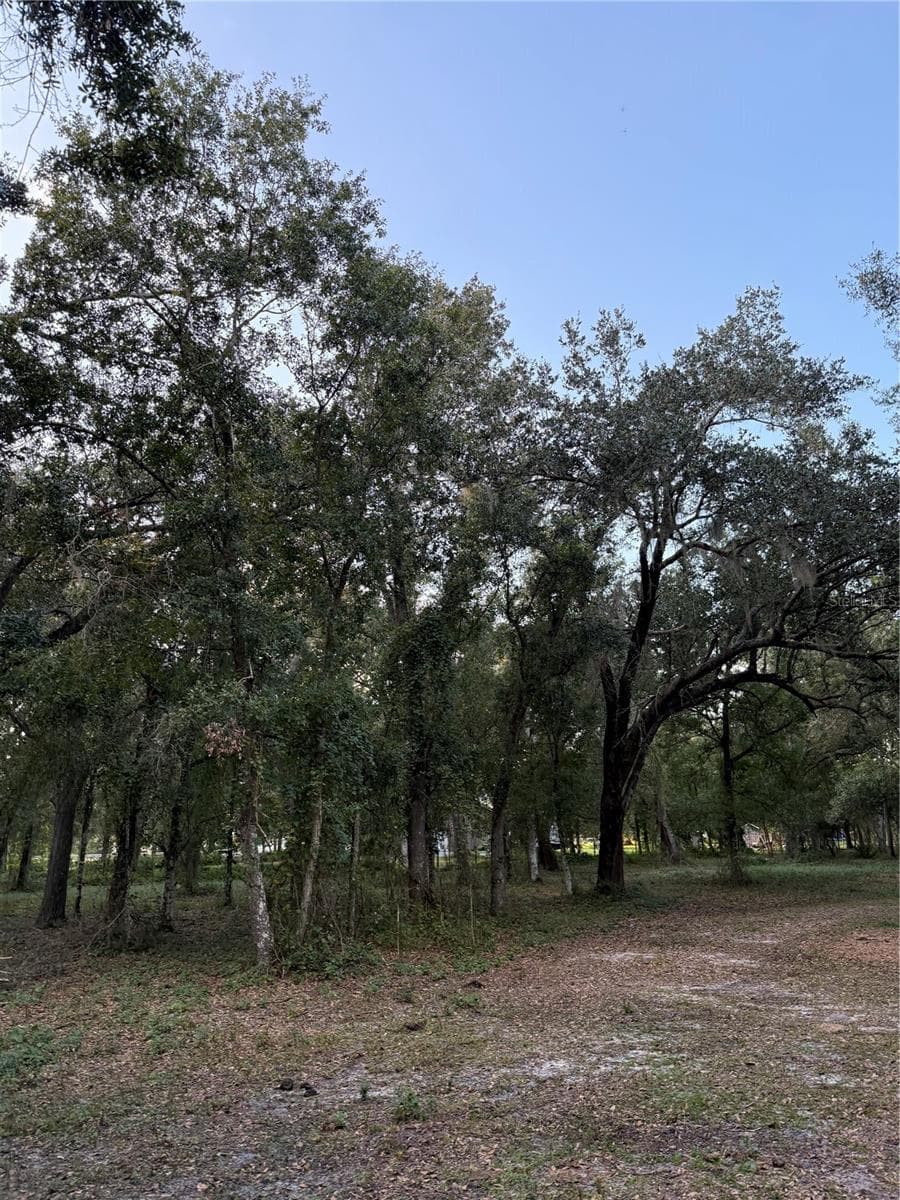 Land at SE BROWN RD, ARCADIA, photo 14 of 15