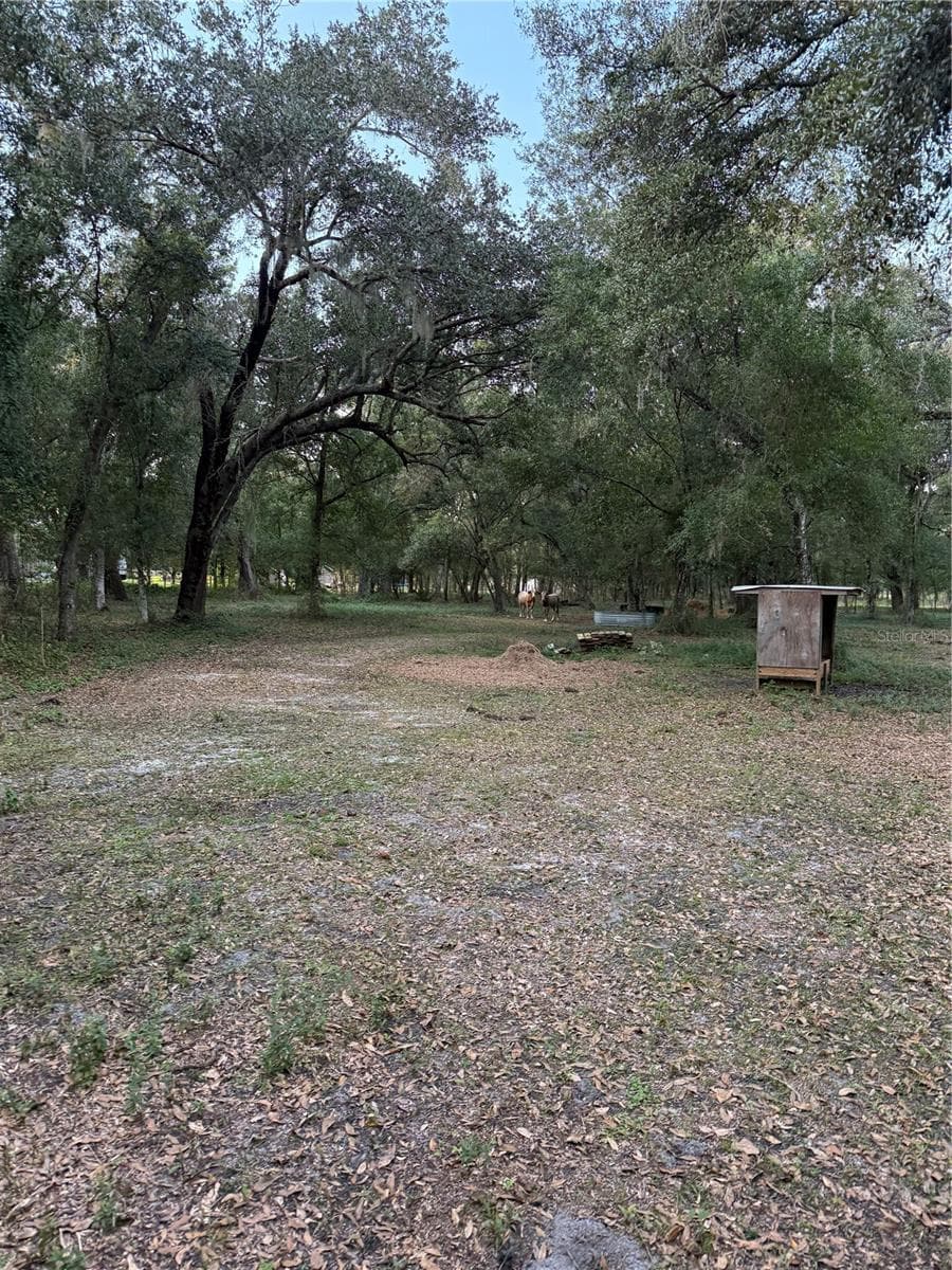 Land at SE BROWN RD, ARCADIA, photo 15 of 15