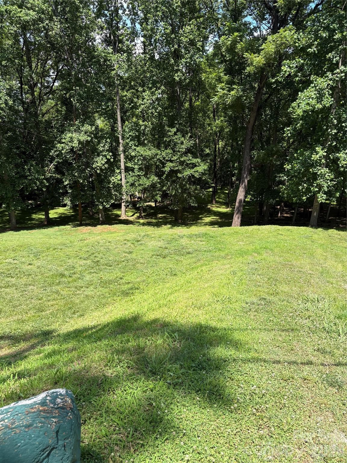 Back Yard - Morganton
