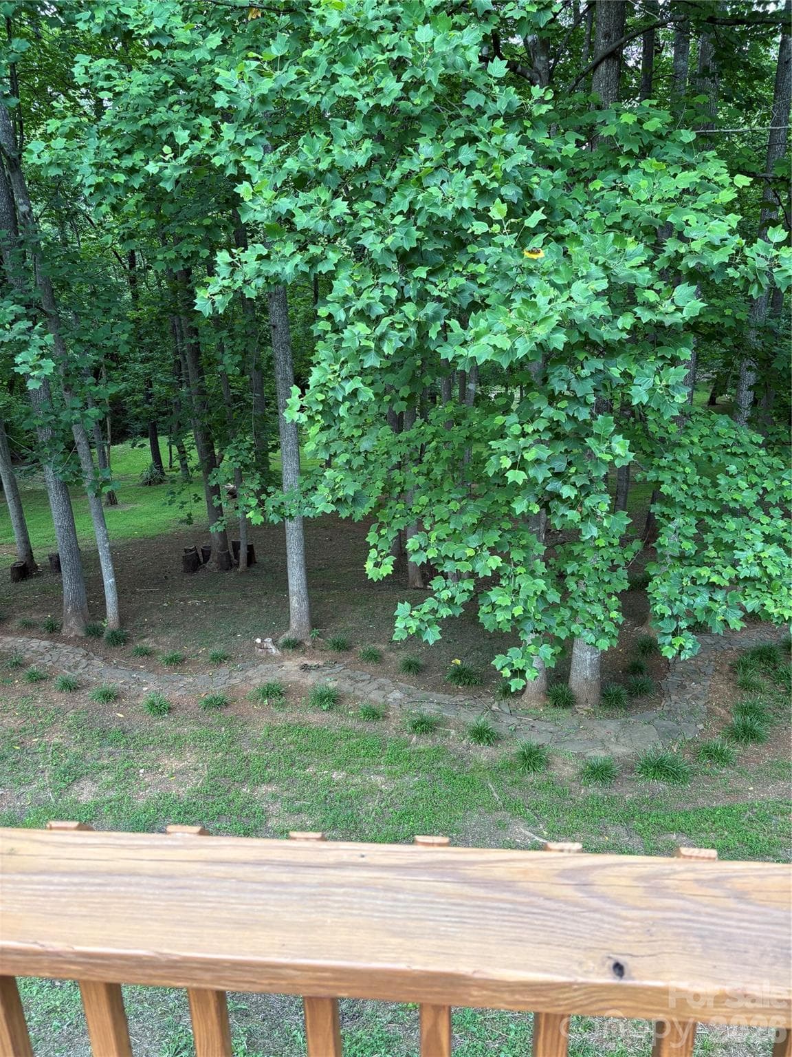 View of the back yard - Morganton