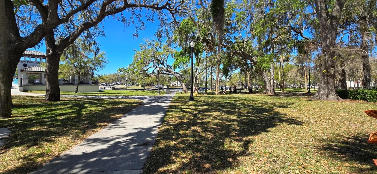 Single Family Residence at 5904 ELM ST, NEW PORT RICHEY, photo 29 of 52