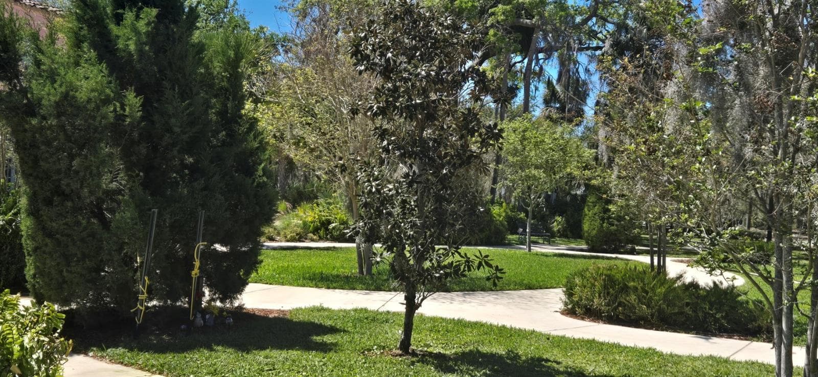 Single Family Residence at 5904 ELM ST, NEW PORT RICHEY, photo 33 of 52