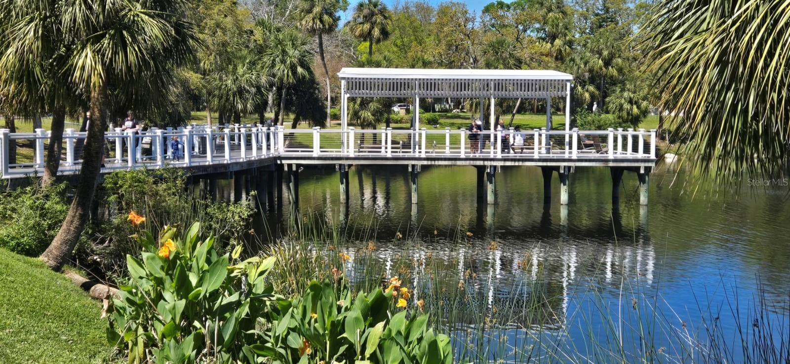 Single Family Residence at 5904 ELM ST, NEW PORT RICHEY, photo 42 of 52