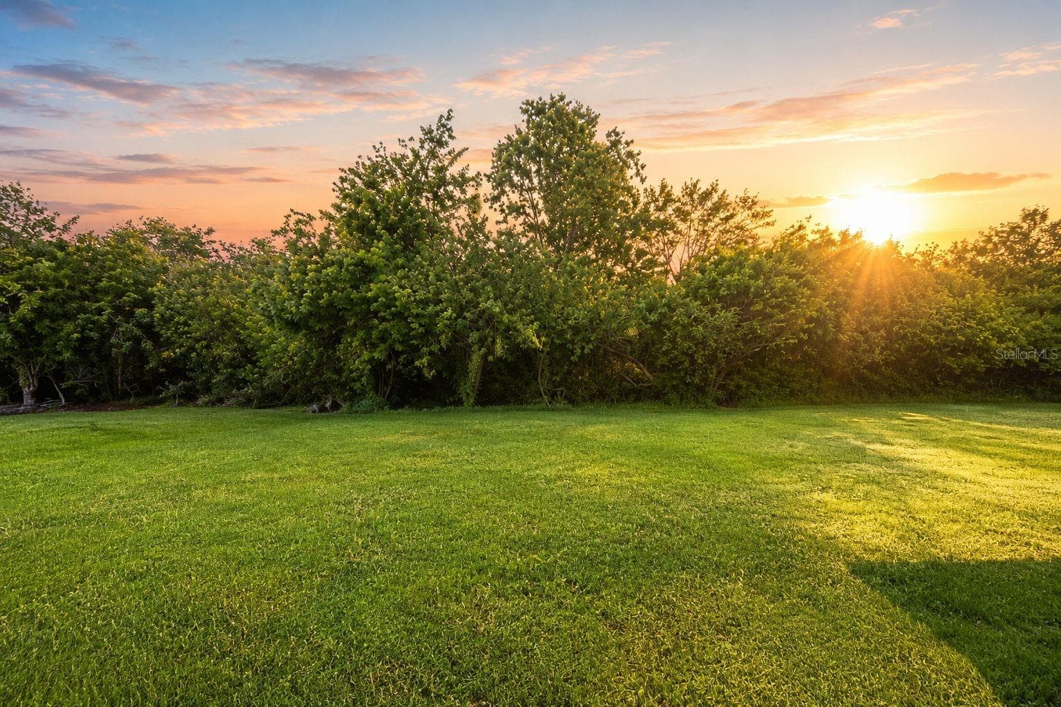 Backyard Faces East for Sunrise - 5328 LEXINGTON DR, PARRISH