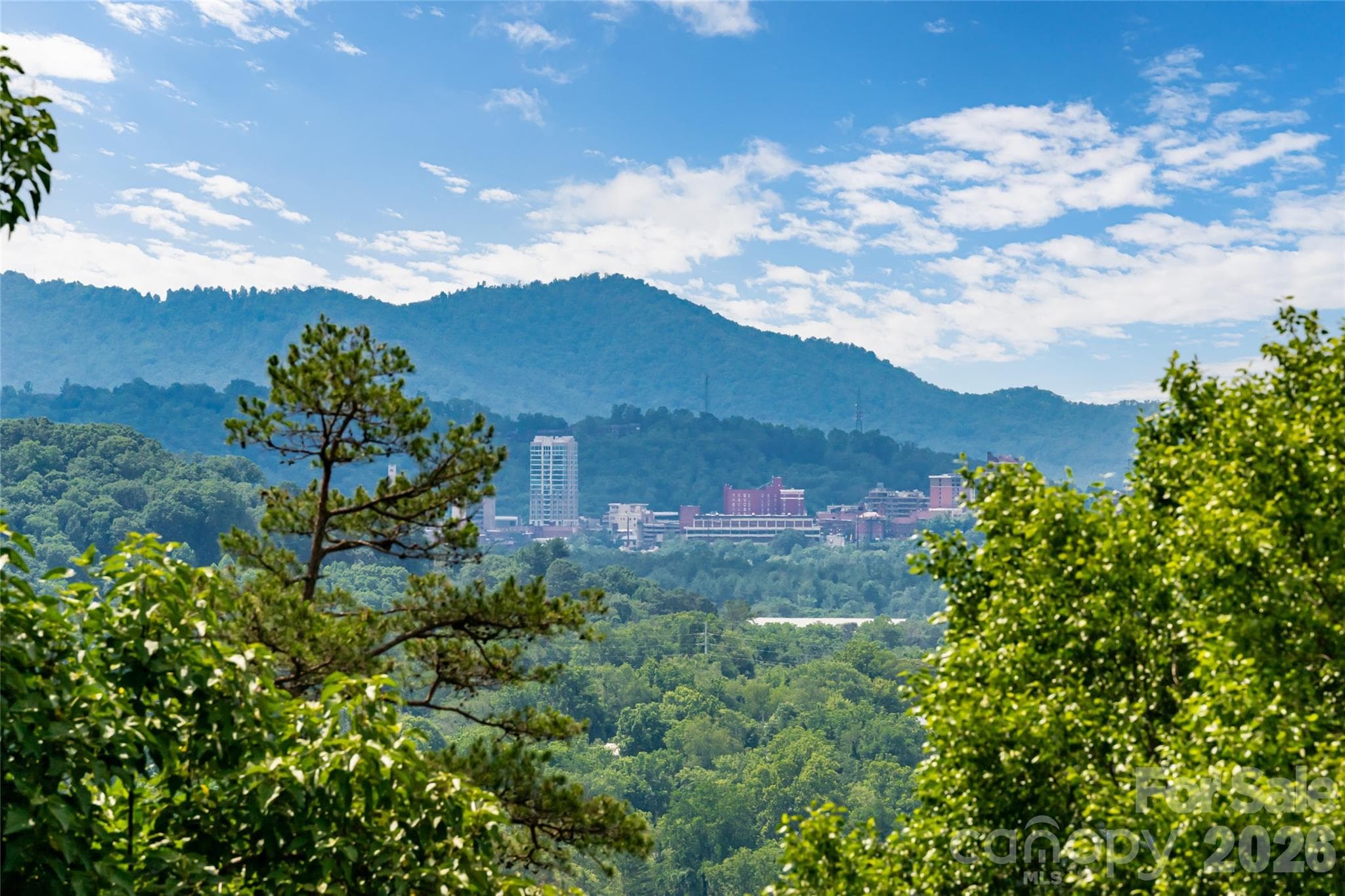 Single Family Residence at 24 Audubon Drive, Asheville, photo 34 of 46
