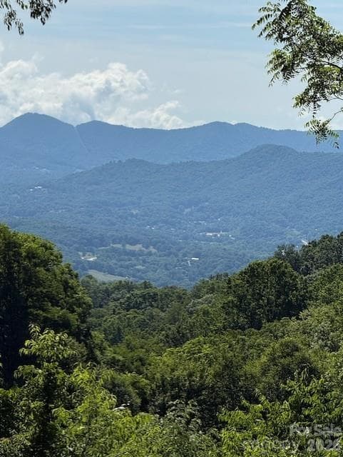 Lot at Waynesville, photo 2 of 26