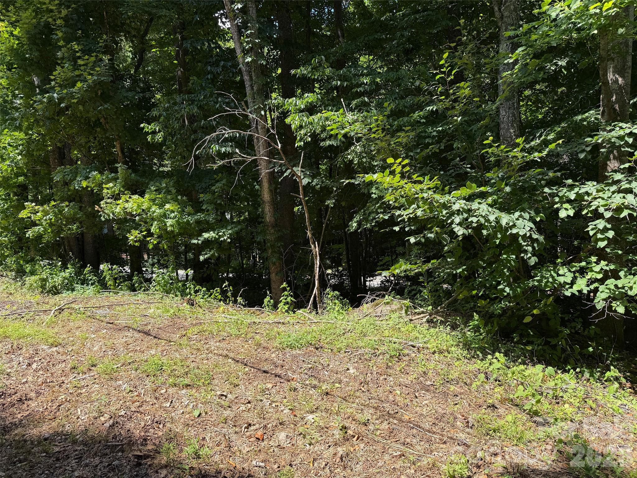 Lot at Waynesville, photo 4 of 40