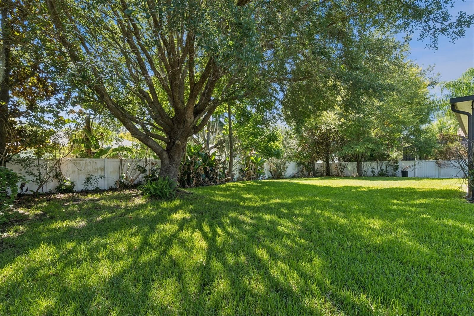 backyard - 3193 TOHO CT, KISSIMMEE