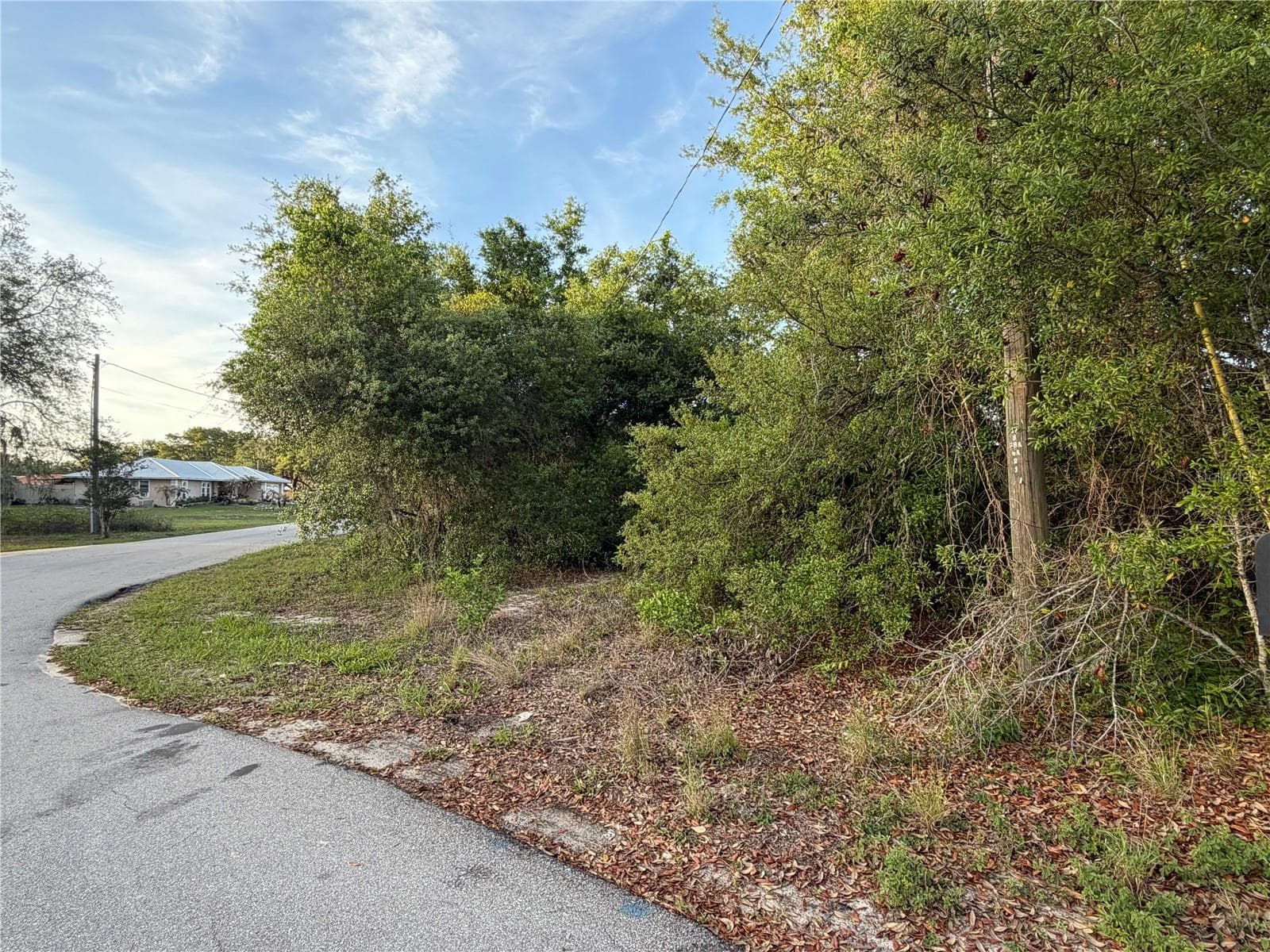 Land at MAGNOLIA CIR, LAKE WALES, photo 3 of 3