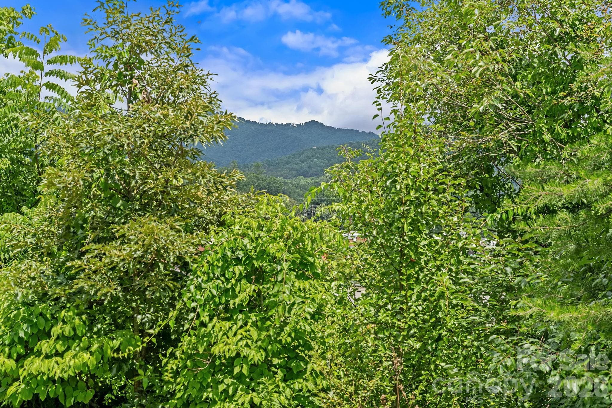 Townhouse at 10 Benedict Lane, Weaverville, photo 14 of 36