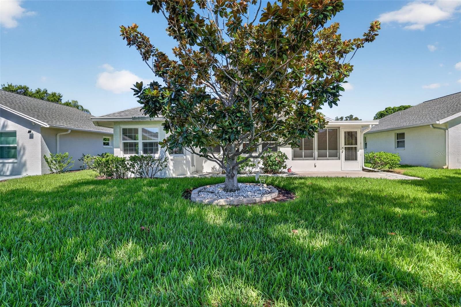 This Magnolia tree will produce a beautiful smell when in bloom! - 4431 FERN DR, BRADENTON