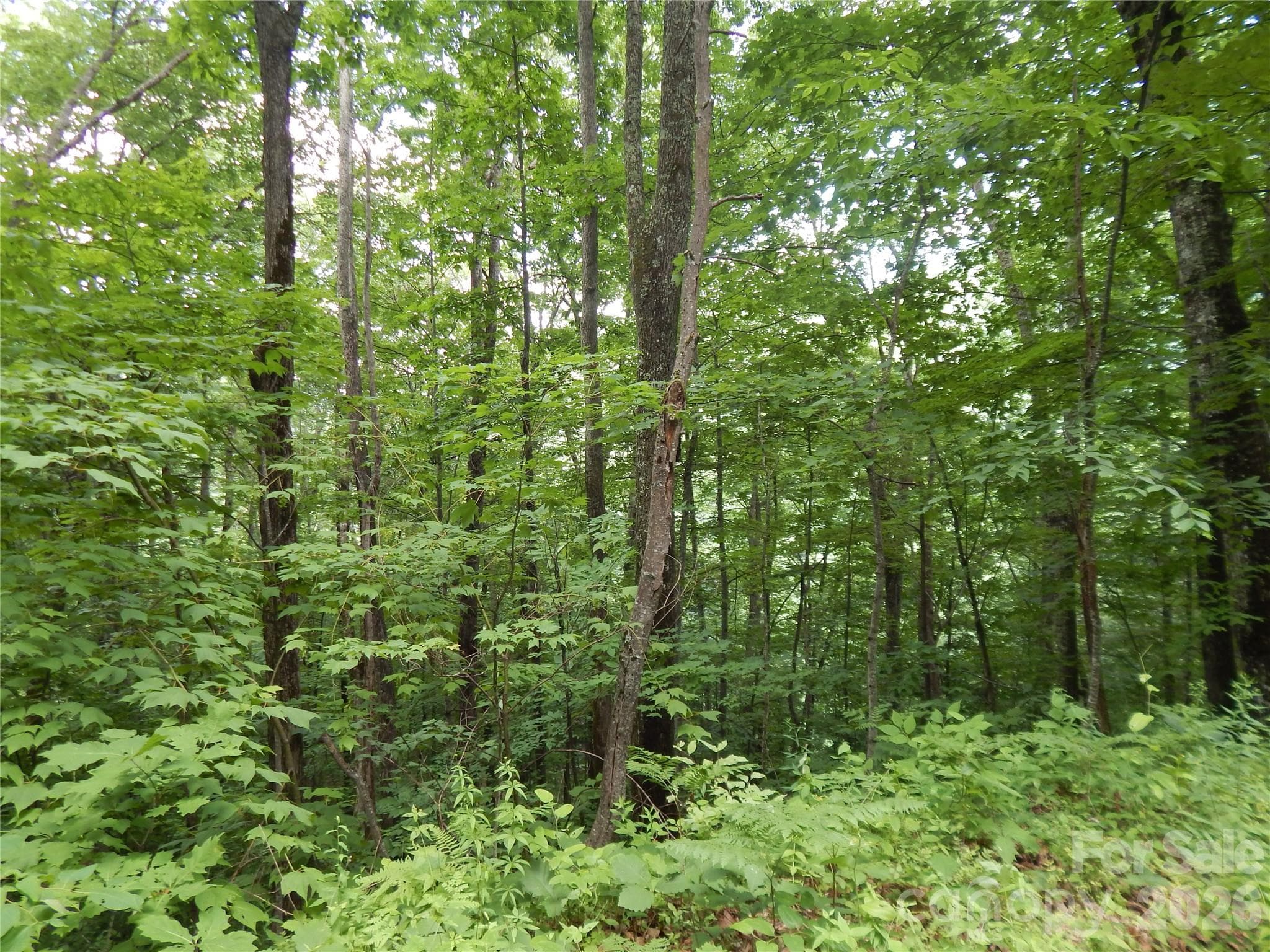 Lot at Maggie Valley, photo 2 of 37
