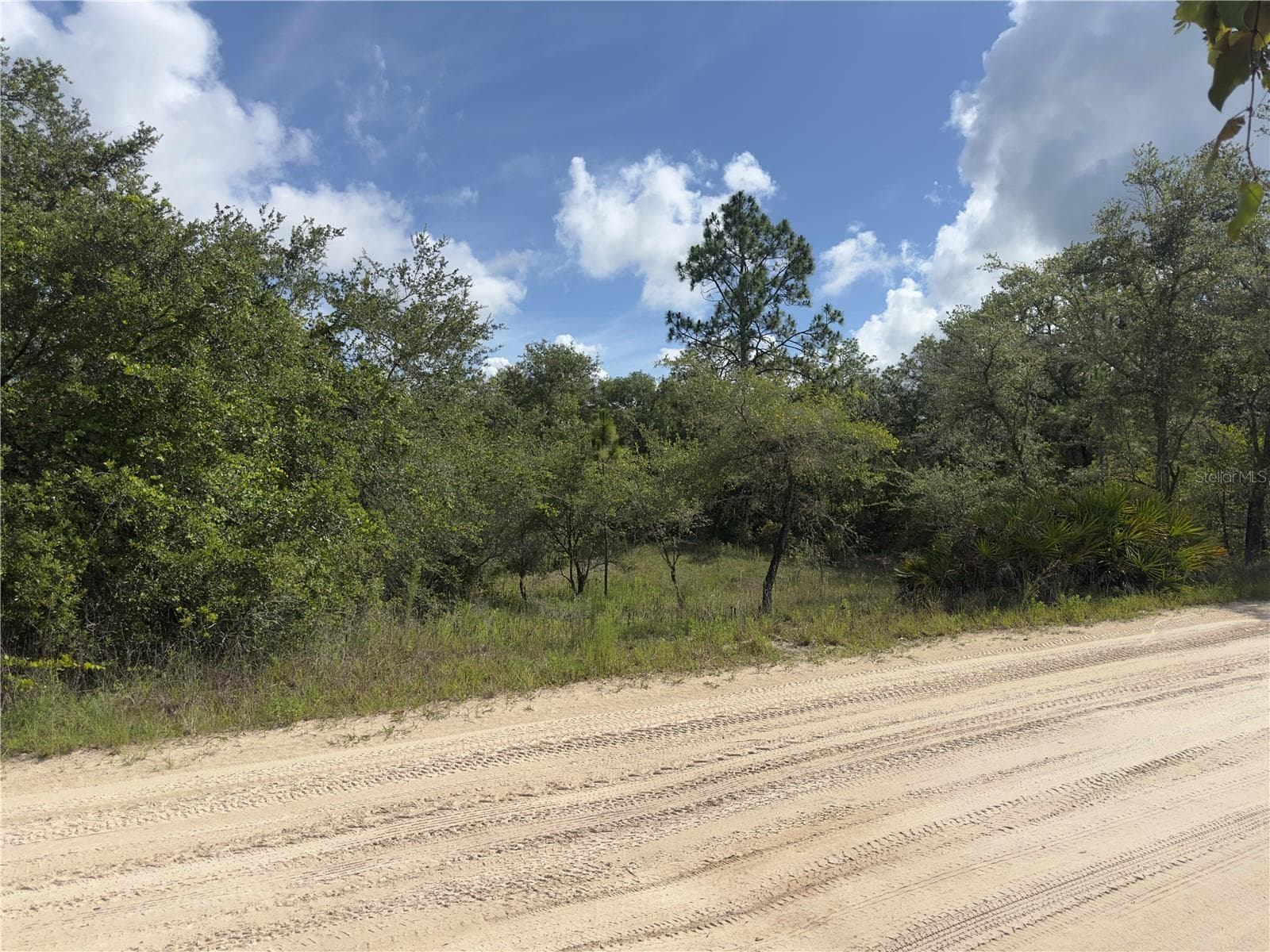 Land at 8389 SW 155TH ST, DUNNELLON, photo 3 of 10