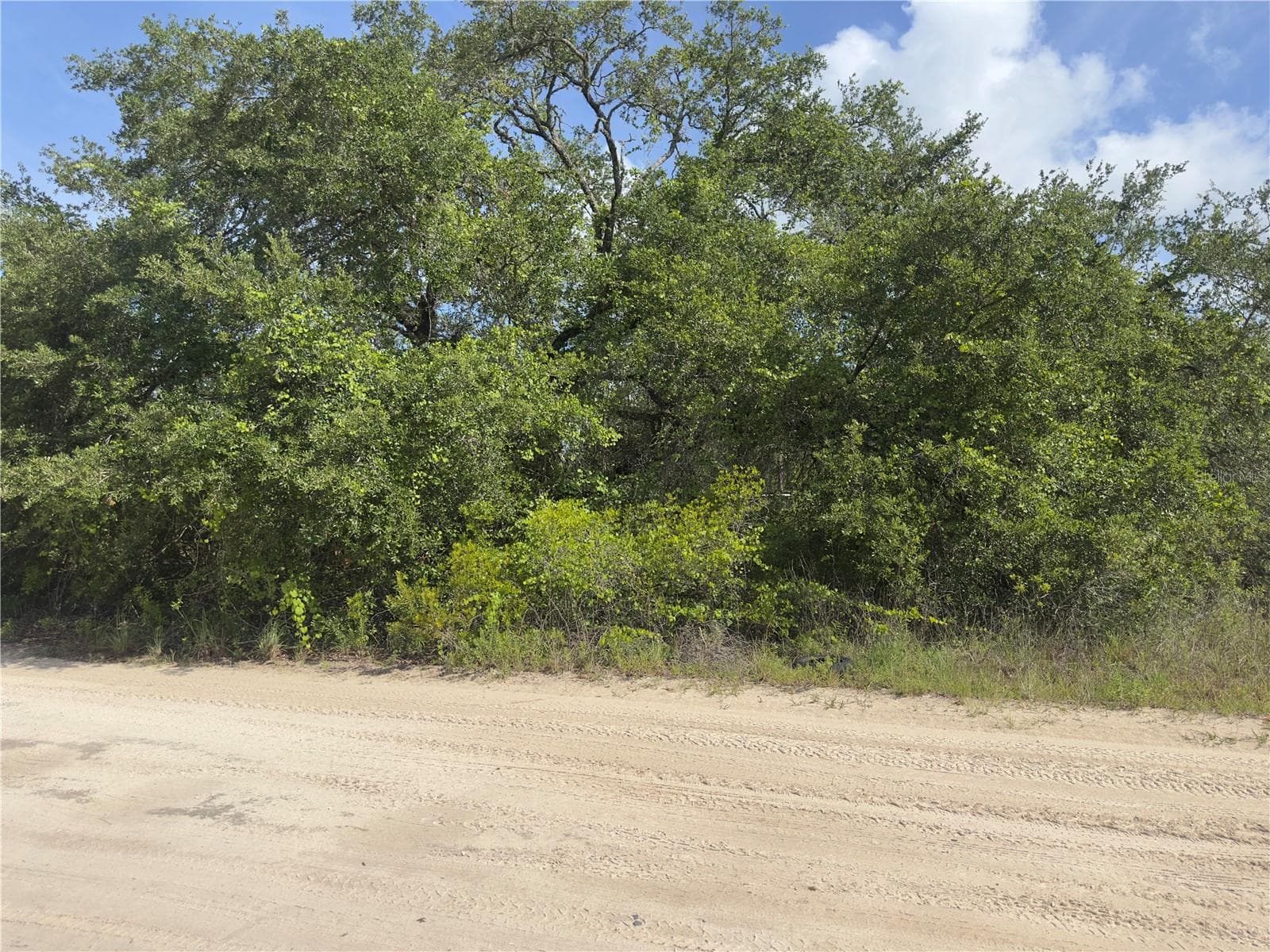 Land at 8389 SW 155TH ST, DUNNELLON, photo 4 of 10