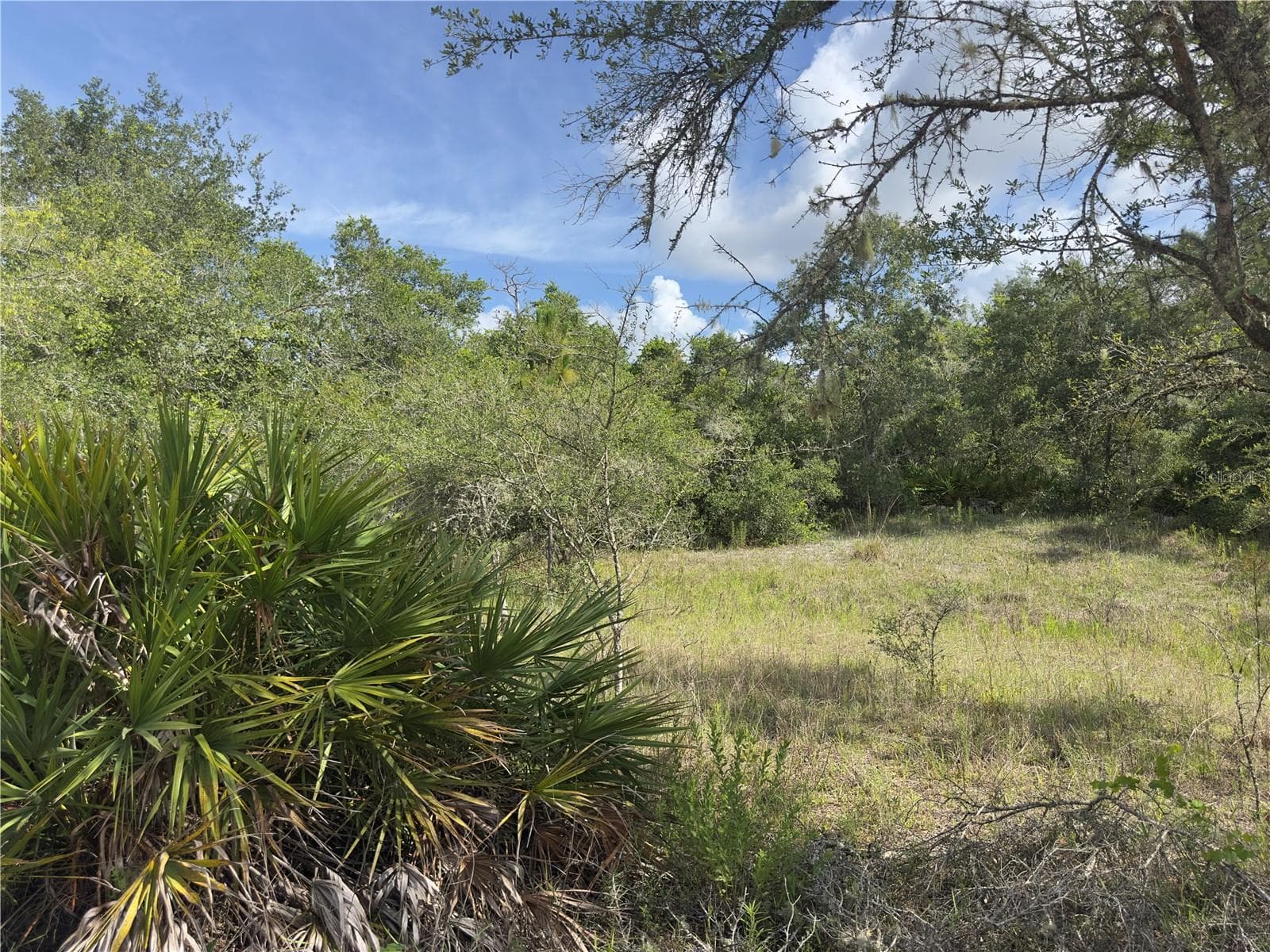 Land at 8389 SW 155TH ST, DUNNELLON, photo 6 of 10