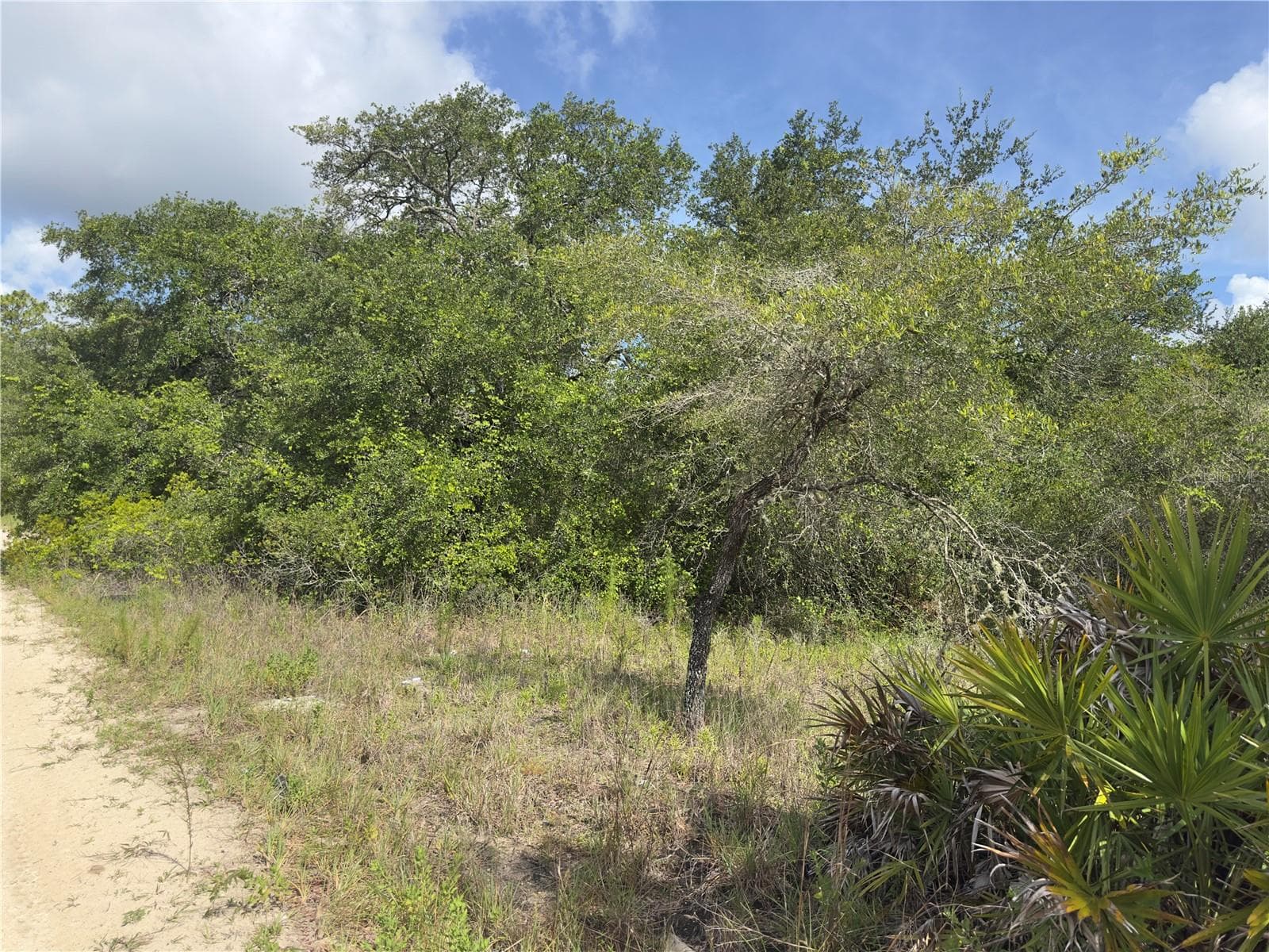 Land at 8389 SW 155TH ST, DUNNELLON, photo 7 of 10