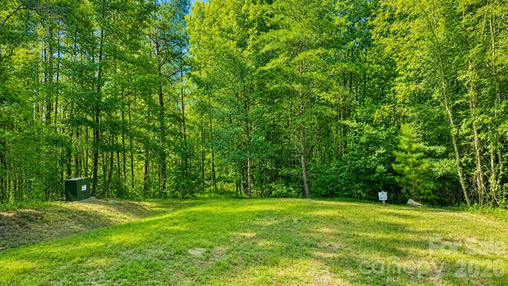 Lot at Lenoir, photo 2 of 31
