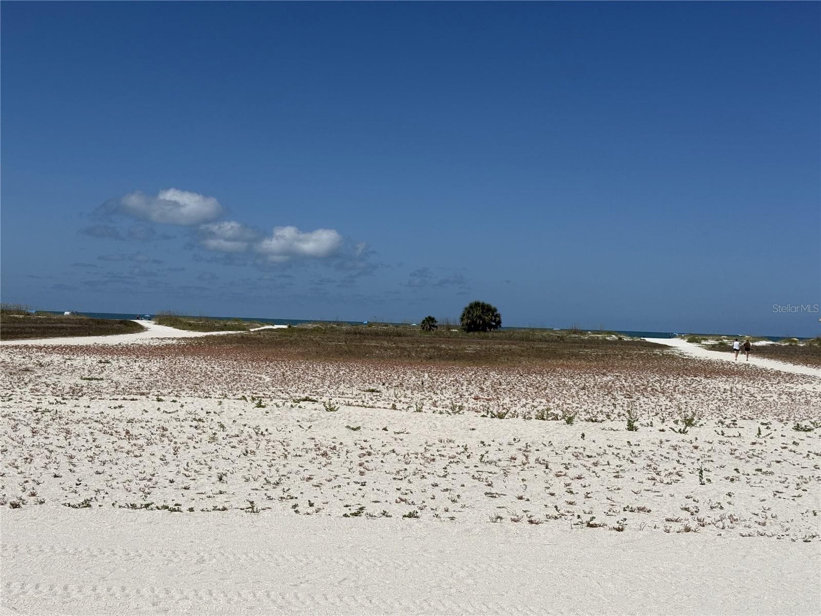 Large beach area with paths - 155 112TH AVE #A, TREASURE ISLAND