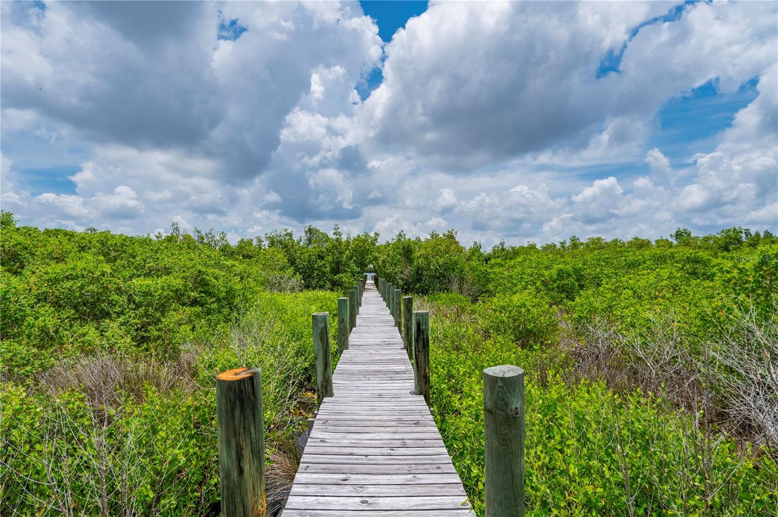 Land at 0 RIVERFRONT DR #Lot 6, VENICE, photo 12 of 16
