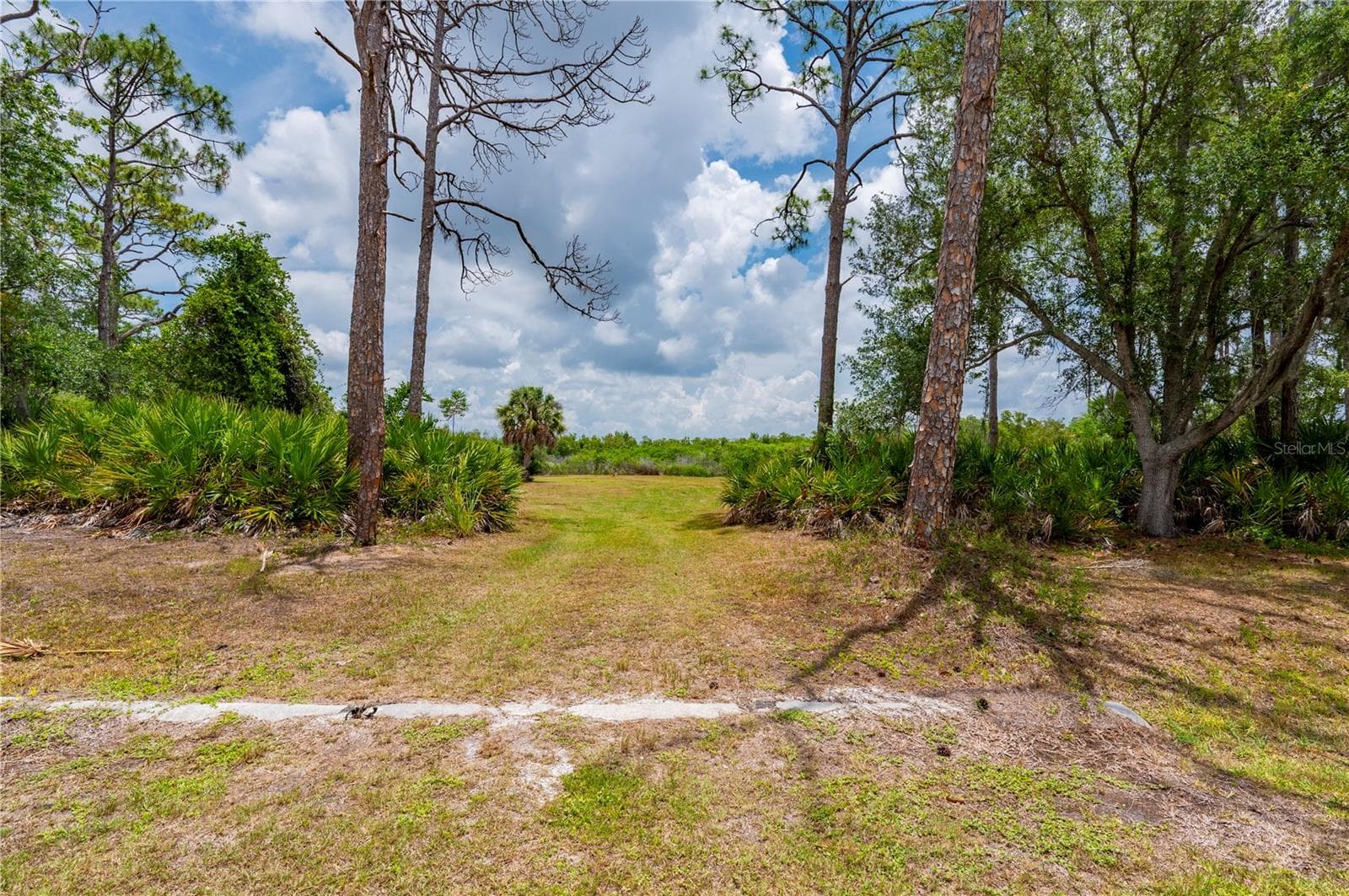 Land at 0 RIVERFRONT DR #Lot 6, VENICE, photo 13 of 16