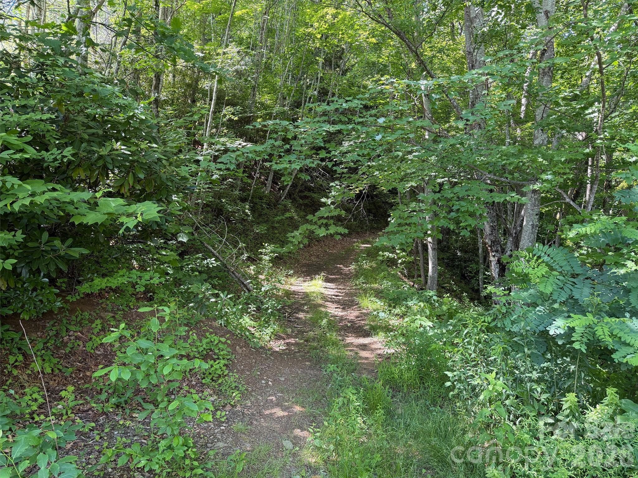 Lot at Waynesville, photo 2 of 18